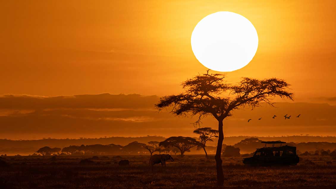 Afrika