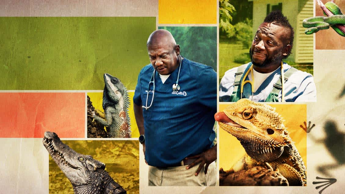 Veteriner Dostlar Özel